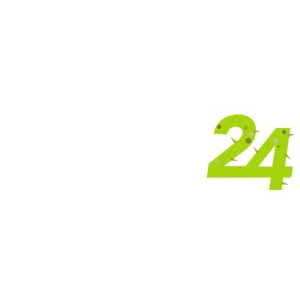 Cactus 24